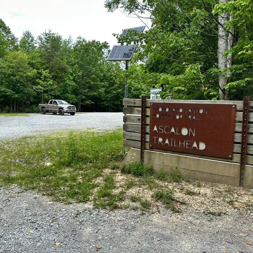 Solo Activating a park is so peaceful…